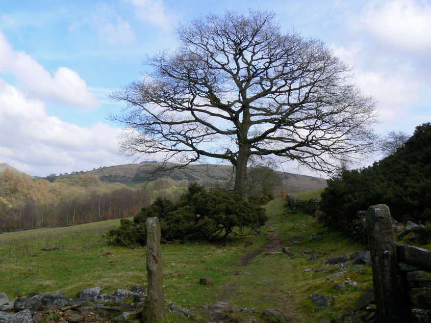 Dane Valley Way Dane Valley Way